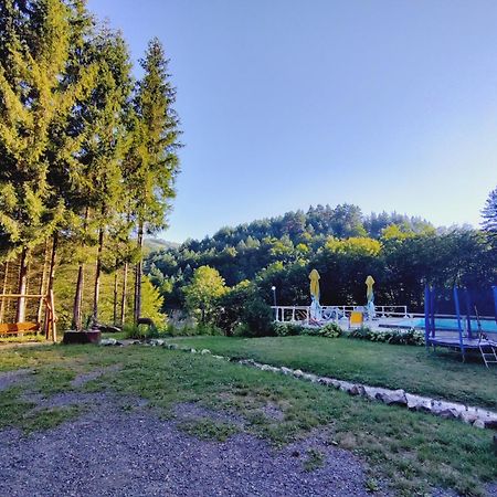 Cabana Cerbu Bozovics Kültér fotó