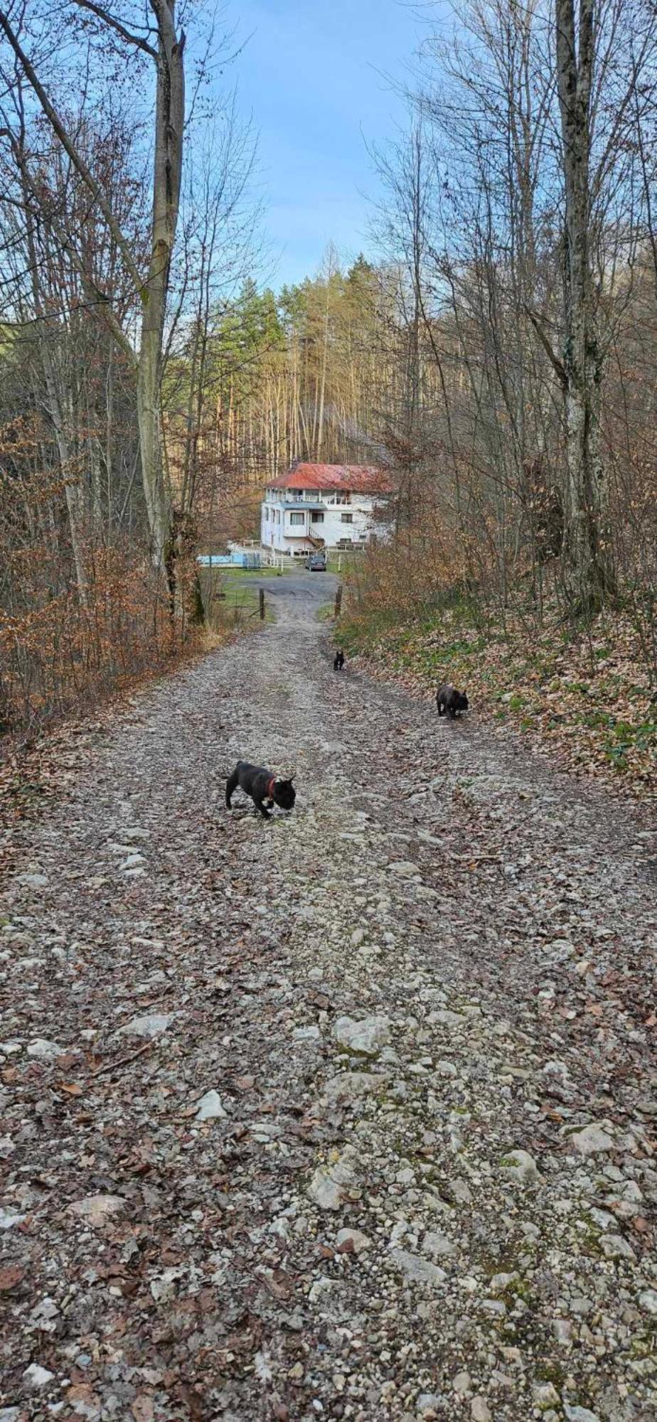 Cabana Cerbu Bozovics Kültér fotó
